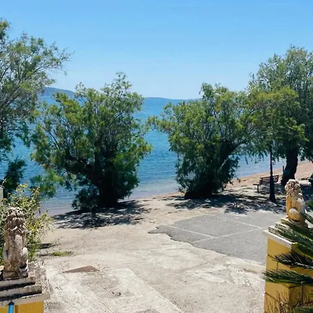 Sea Breeze
